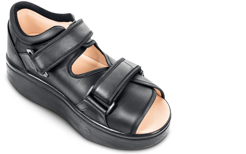 Cipliko Chaussures  5,9 Pouces pour désodorisation, Petite